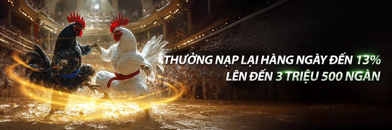 Đá gà trực tuyến MM9 trang chủ chính thức